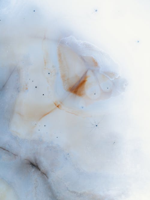 Darmowe zdjęcie z galerii z abstrakcyjny, biały, lód
