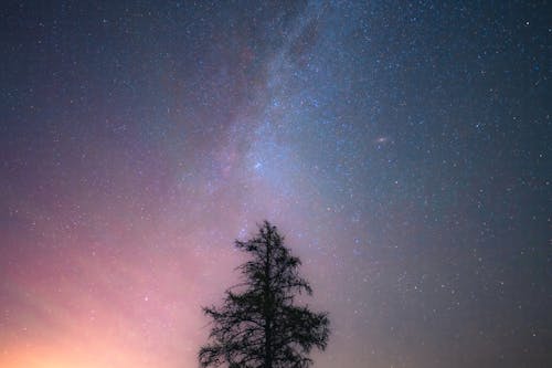 Základová fotografie zdarma na téma galaxie, hvězdička, hvězdná obloha