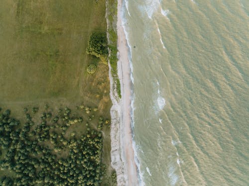 Drone Shot of a Park, Beach and Sea 