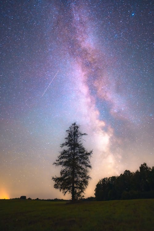 Milky Way in Night Sky Seen from the Meadow