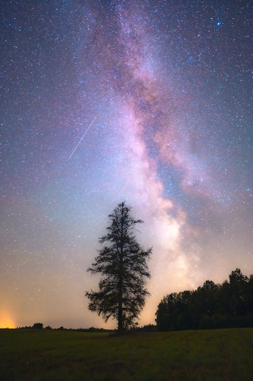 galaxy, 垂直拍摄, 夜空 的 免费素材图片