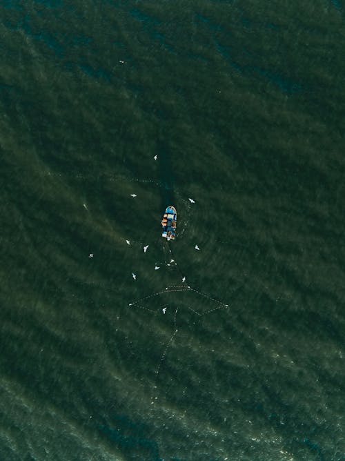 Základová fotografie zdarma na téma člun, moře, pohled shora