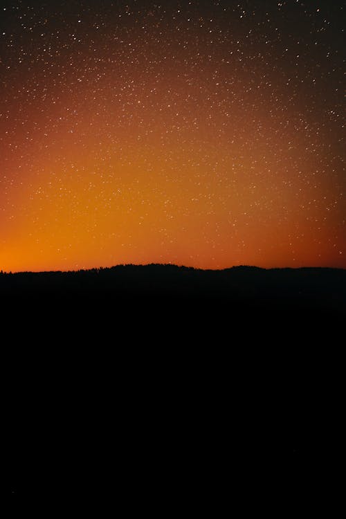 Foto d'estoc gratuïta de arbres, astronomia, camp estrella