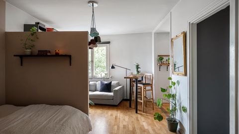 A cozy modern interior featuring a comfortable seating area, plants, and stylish accessories.