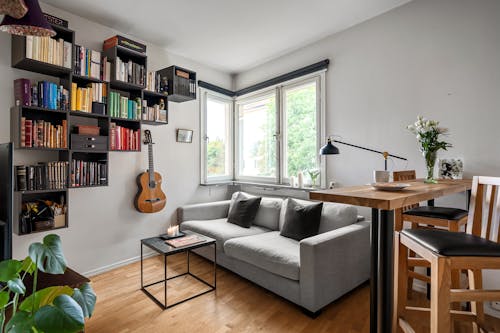 Living Room with a Grey Couch