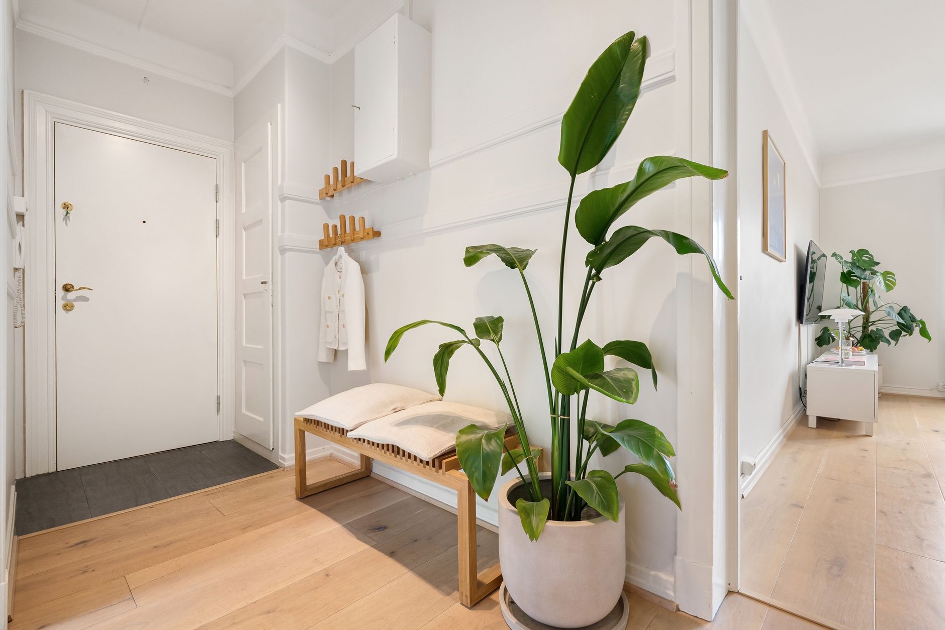 minimalist apartment organization for cozy homes Minimalist interior featuring a house plant and wooden decor in a bright hallway.
