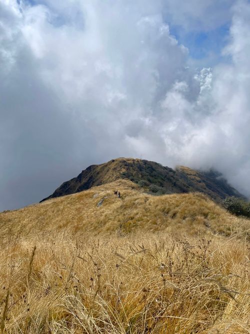 Free Explore the misty mountain peak surrounded by dry grass and dramatic clouds. Stock Photo