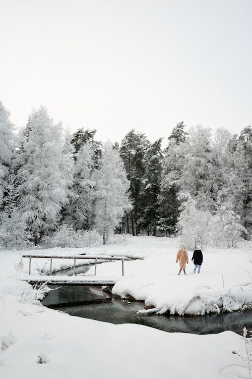 People in Park near Stream 