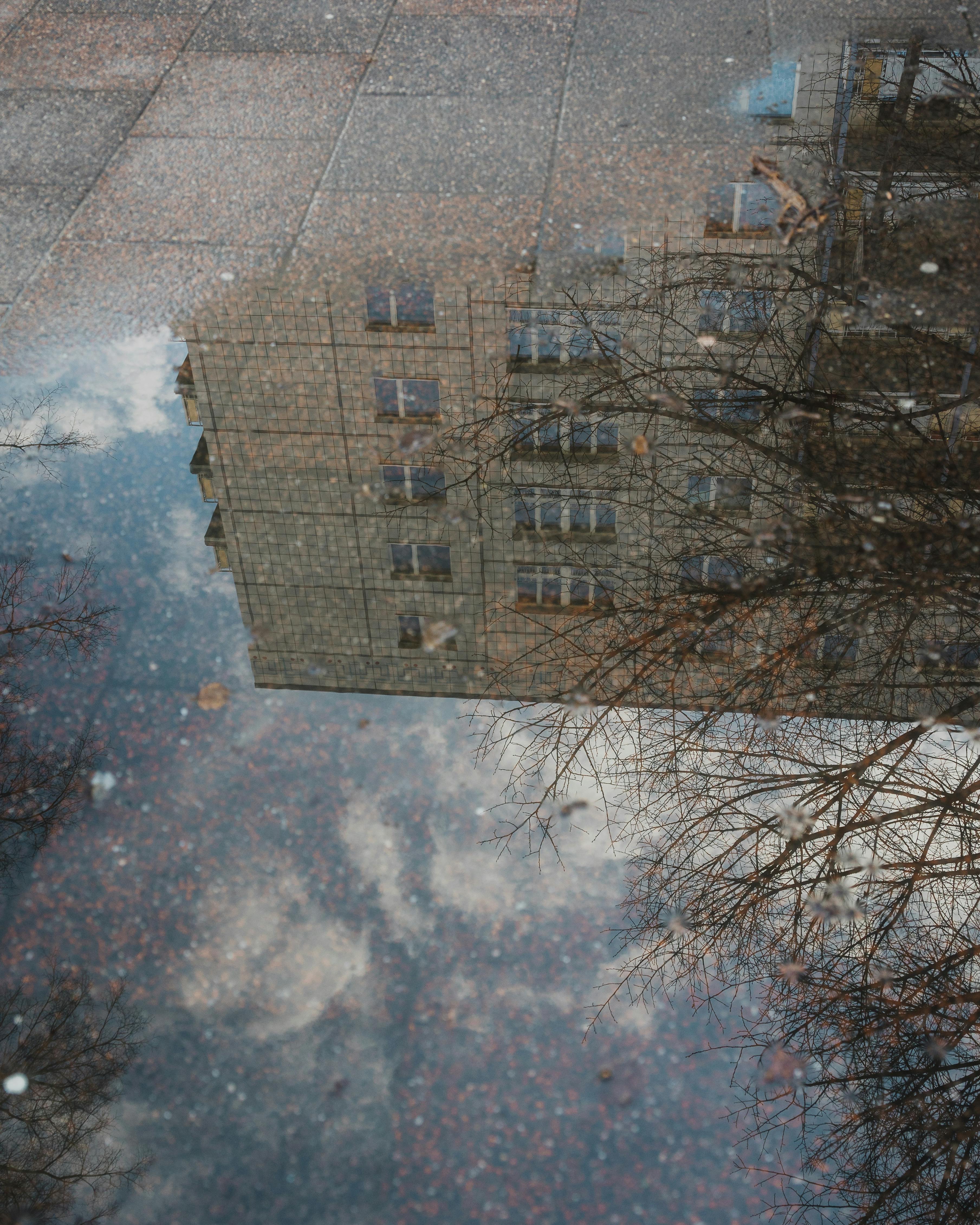 Reflection of a building and tree branches in a puddle on urban pavement.