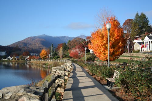 View of a Walkway by the Body of Water and Autumnal Trees in a Town 