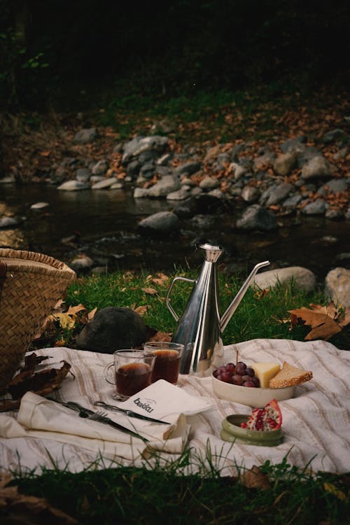 View of a Picnic in a Park by the Water 