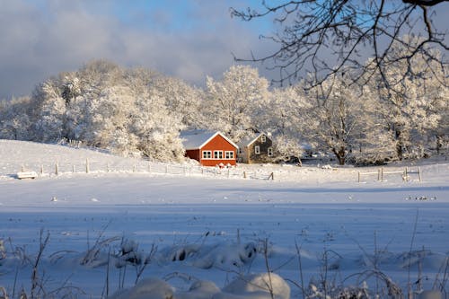 Бесплатное стоковое фото с southborough, зима, массачусетс