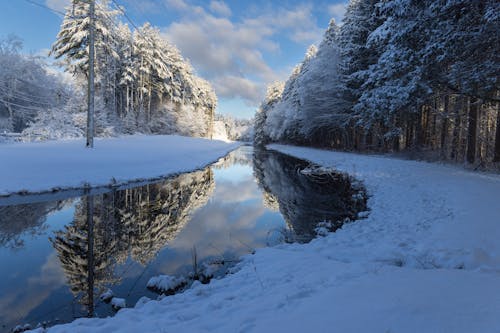 Scenic Winter Landscape of a River and Frosty Trees 