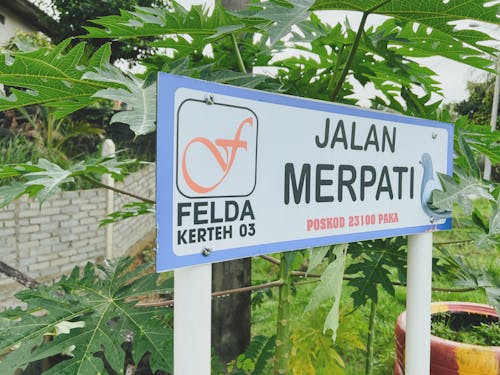 A sign with the text of the street name in malay against a background of papaya trees at Felda Kerteh 3.