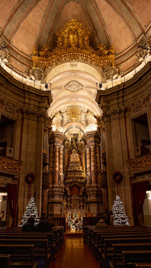 Fotos de stock gratuitas de altar, arboles de navidad, cristianismo