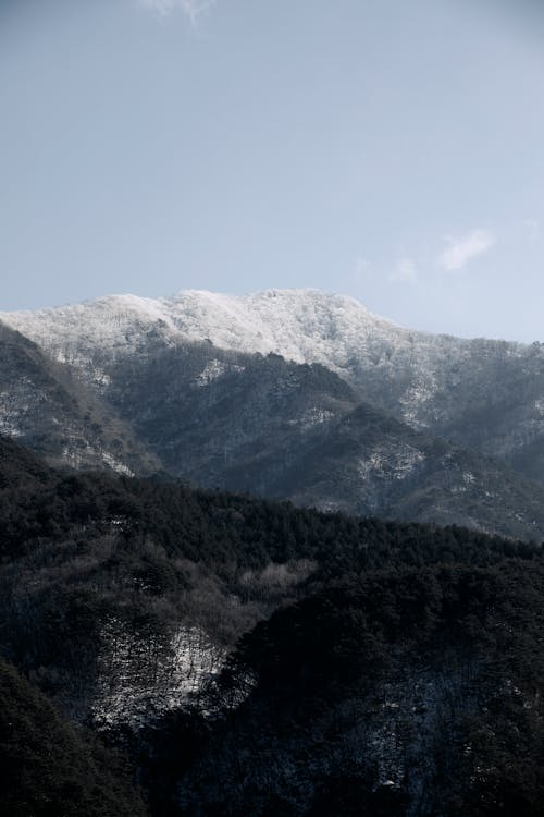 ağaçlar, dağlar, dikey atış içeren Ücretsiz stok fotoğraf