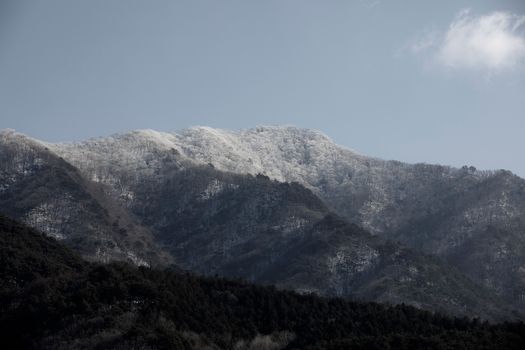 Serene winter landscape featuring snowcapped mountains and forests under a clear sky.