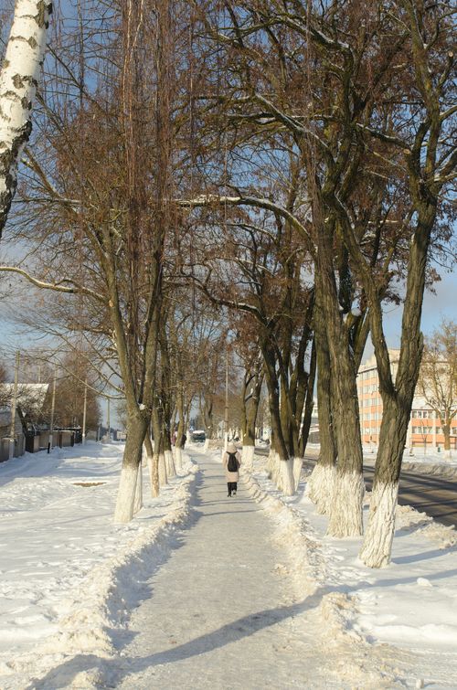Free A serene winter scene featuring a snow-covered sidewalk lined with bare trees and distant city buildings. Stock Photo