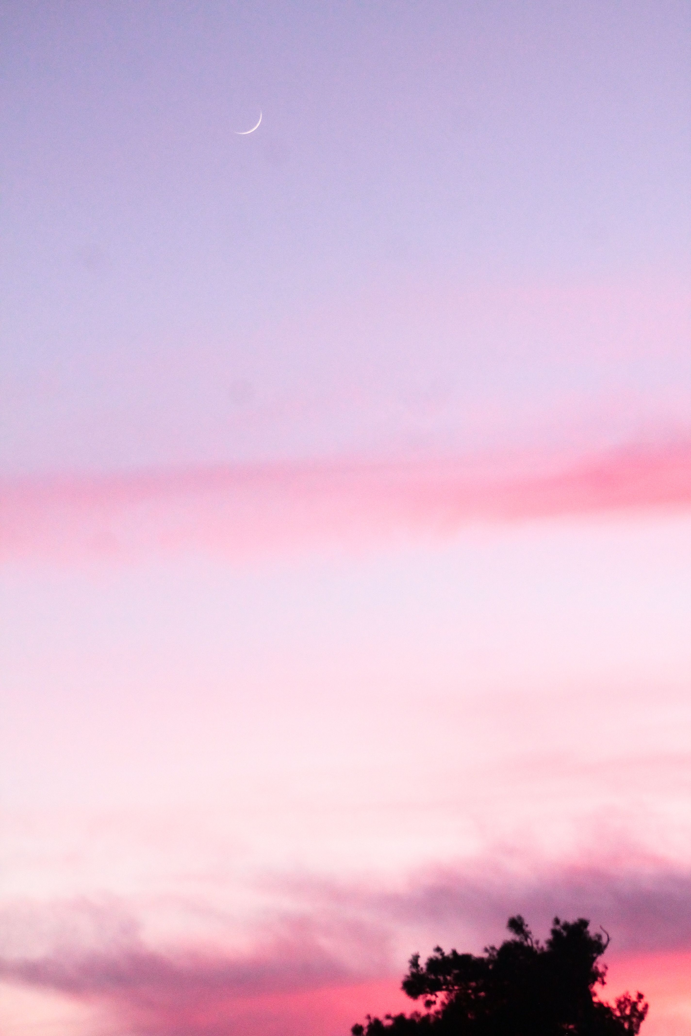 A tranquil twilight sky with a crescent moon and silhouette of trees against pink and purple hues.