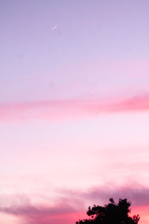 Free A tranquil twilight sky with a crescent moon and silhouette of trees against pink and purple hues. Stock Photo
