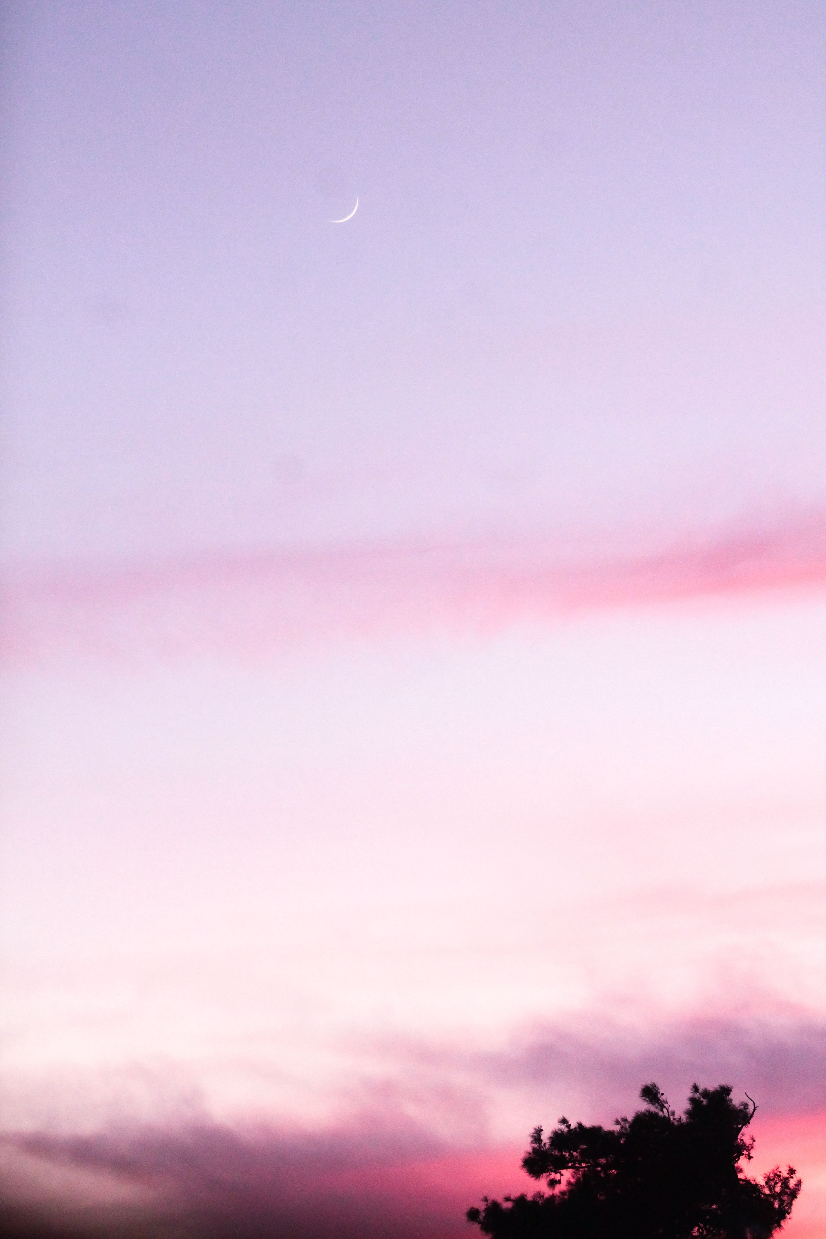 A serene twilight sky with a crescent moon above silhouetted trees.