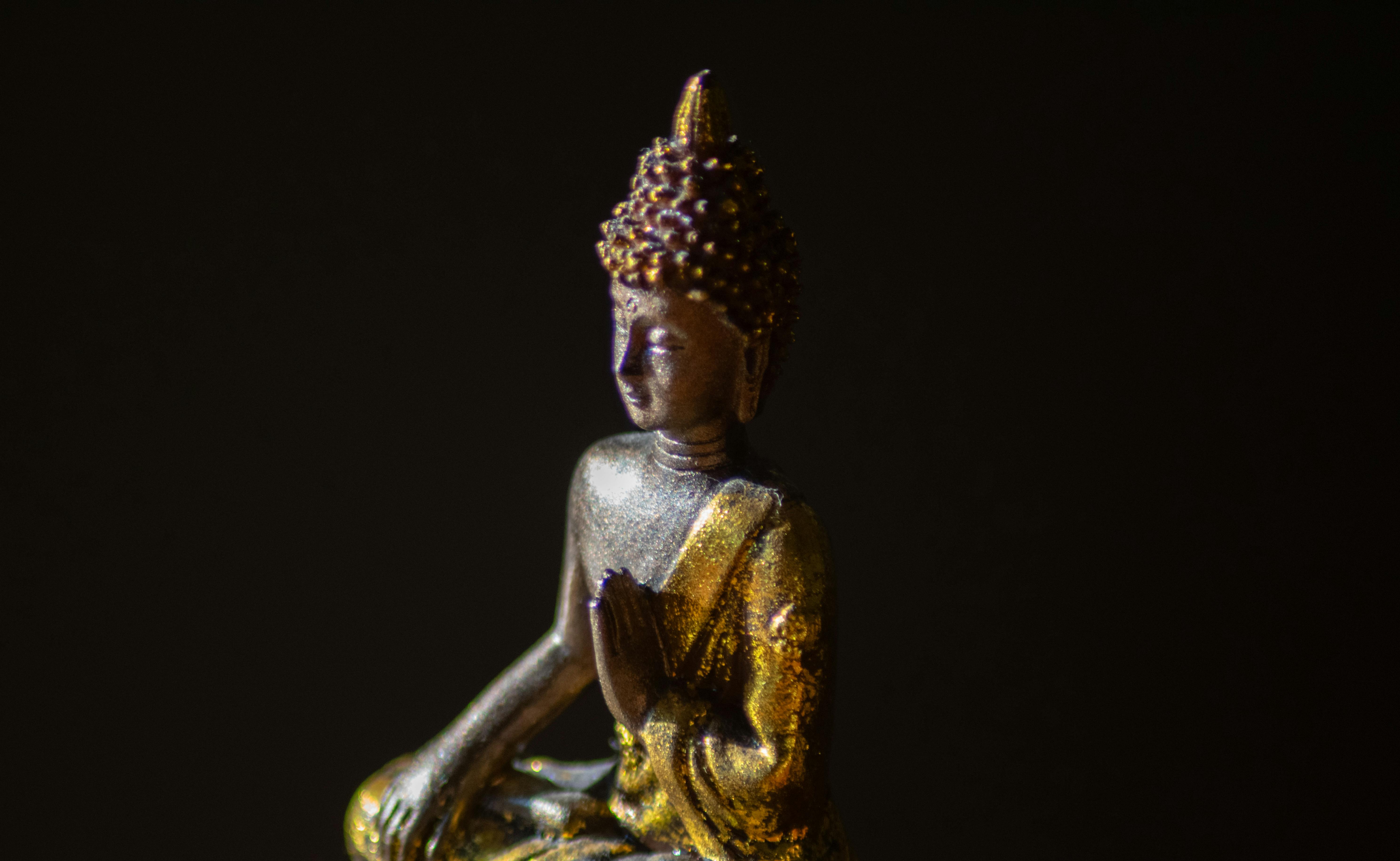 statue of sitting buddha