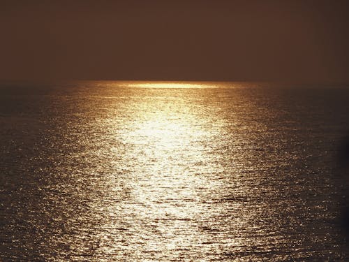シースケープ, 地平線, 夕暮れの無料の写真素材
