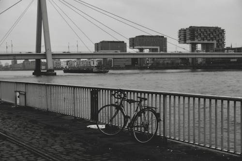 Immagine gratuita di architettura moderna, bianco e nero, bicicletta