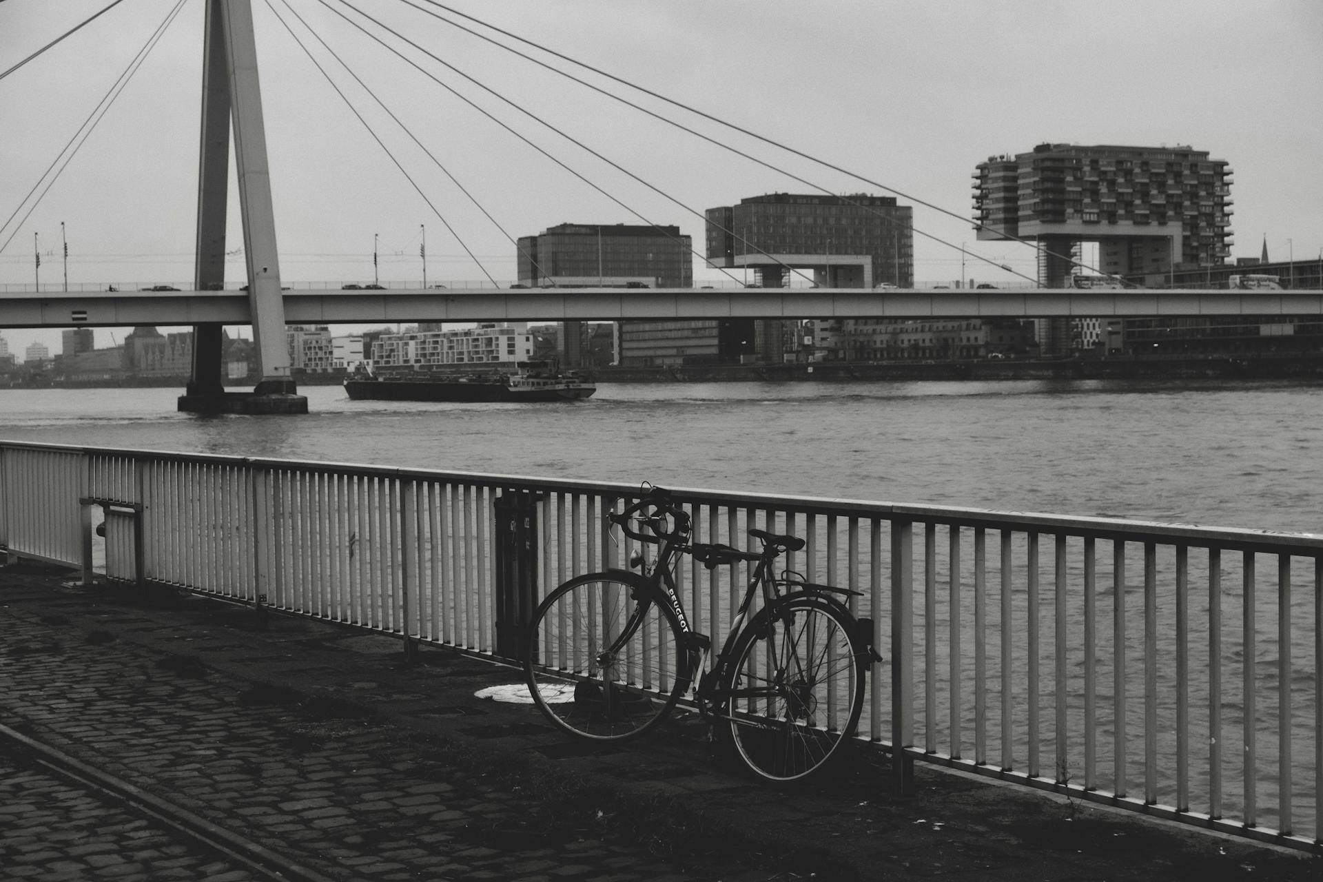 Erasmusbrug in Rotterdam