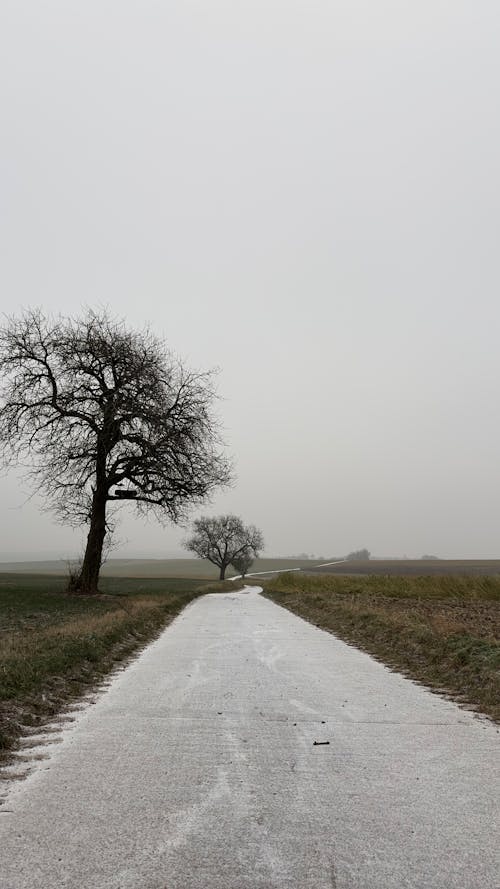 Road Among the Fields on a Foggy Cold Day
