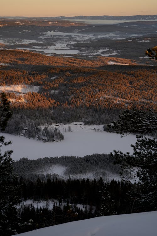 Gratis lagerfoto af aften, bjerg, charme på landet