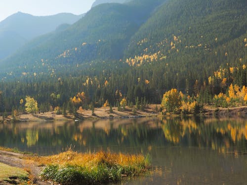 Free stock photo of fall, lake, mountain