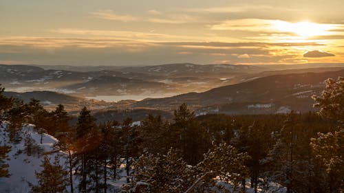 Kostnadsfri bild av apelsin, arktisk solnedgång, bellesa junt al llac