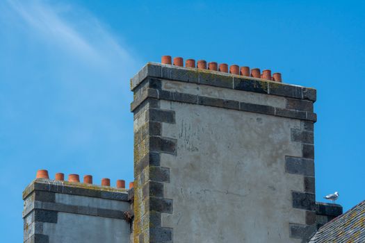 Chimney pots on rooftops against a clear blue sky — best time to schedule chimney service
