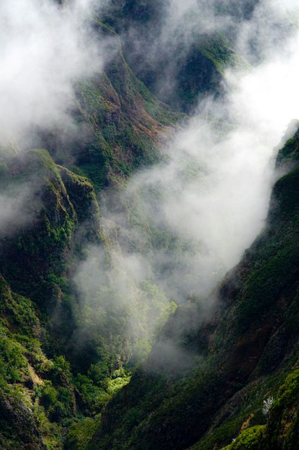 Capture the beauty of Madeira's lush valleys covered in dramatic clouds. Perfect for nature enthusiasts.