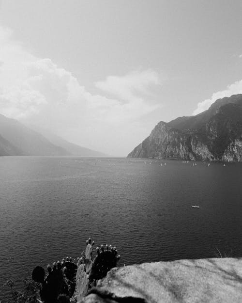 Základová fotografie zdarma na téma černobílý, fjord, kámen