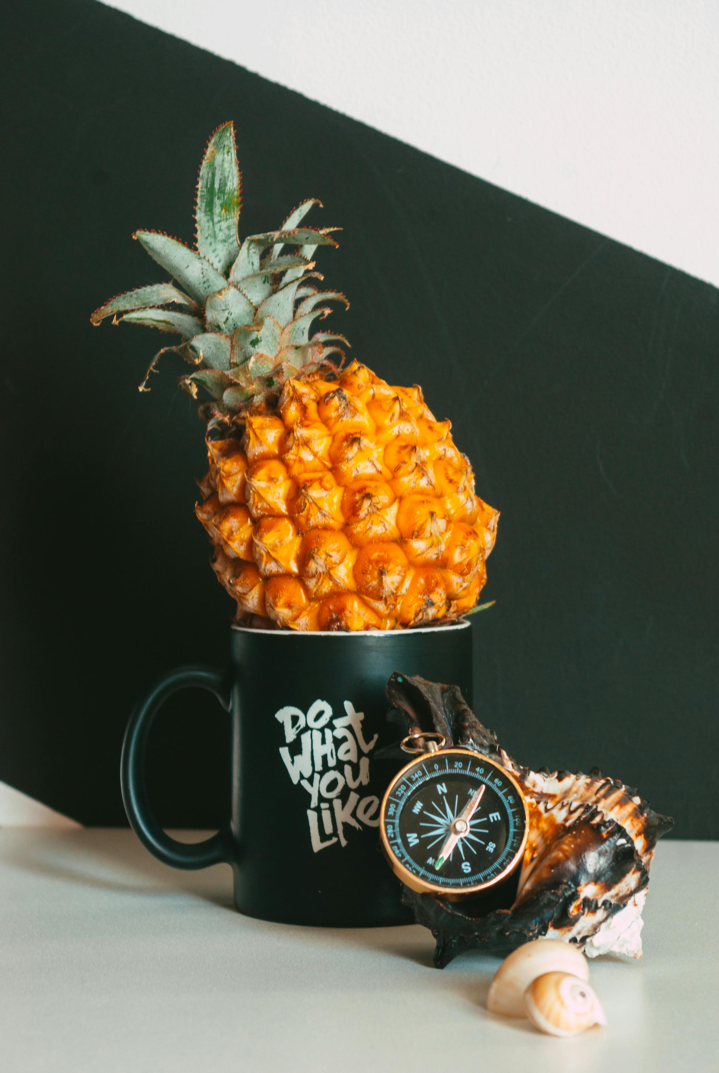 Penn Shell Photos, Download The BEST Free Penn Shell Stock Photos & HD ...