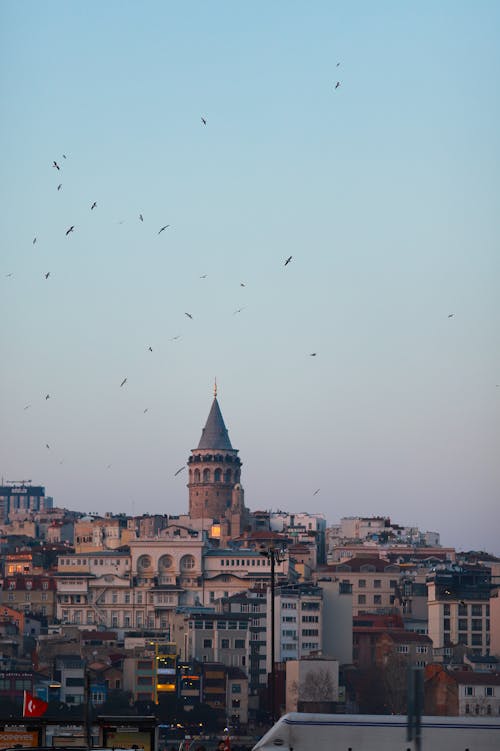 Бесплатное стоковое фото с big city, evening, Istanbul