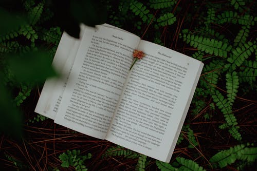 An open book sitting on top of some ferns