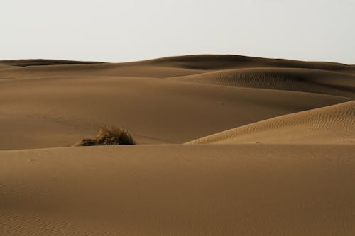 Fotos de stock gratuitas de arena, árido, calor