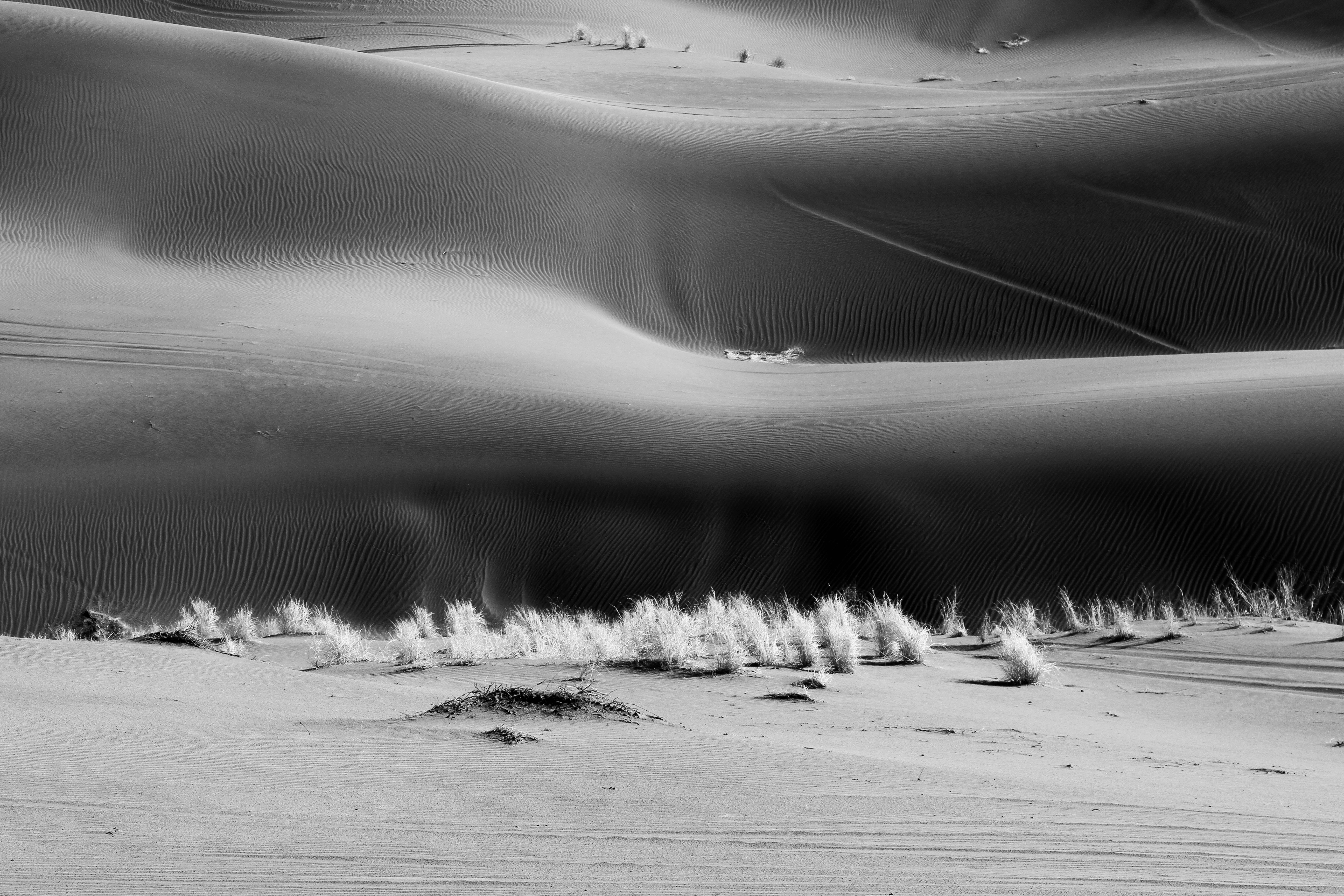 Desierto con dunas y paisaje árido