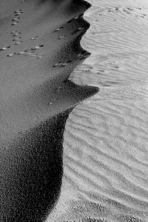 Dune on Desert in Black and White