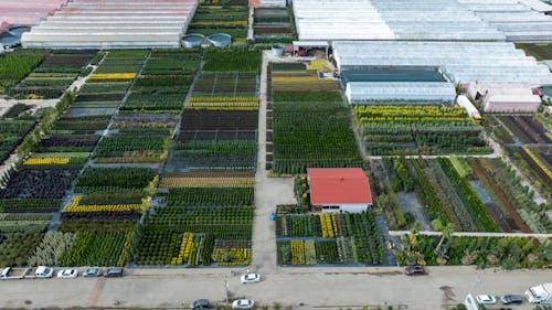 Greenhouses and Fields of Plants