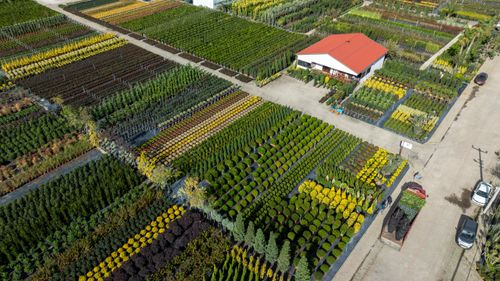 Free Colorful aerial photography of a plant nursery in Yalova, Türkiye, showcasing diverse greenery and vibrant horticulture. Stock Photo
