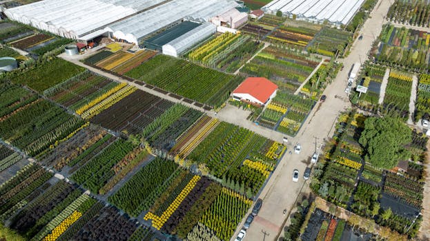 Aerial shot of greenhouses and nurseries, showcasing vibrant agriculture in Yalova, Turkey.