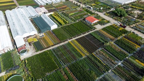 Free Aerial drone shot of a vast plant nursery featuring greenhouses and colorful fields in Yalova, Türkiye. Stock Photo