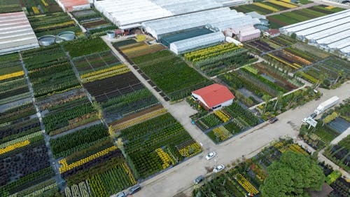 Plants and Greenhouses on Fields