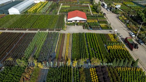Free Explore an aerial perspective of a diverse plant nursery in Yalova, Türkiye. Stock Photo