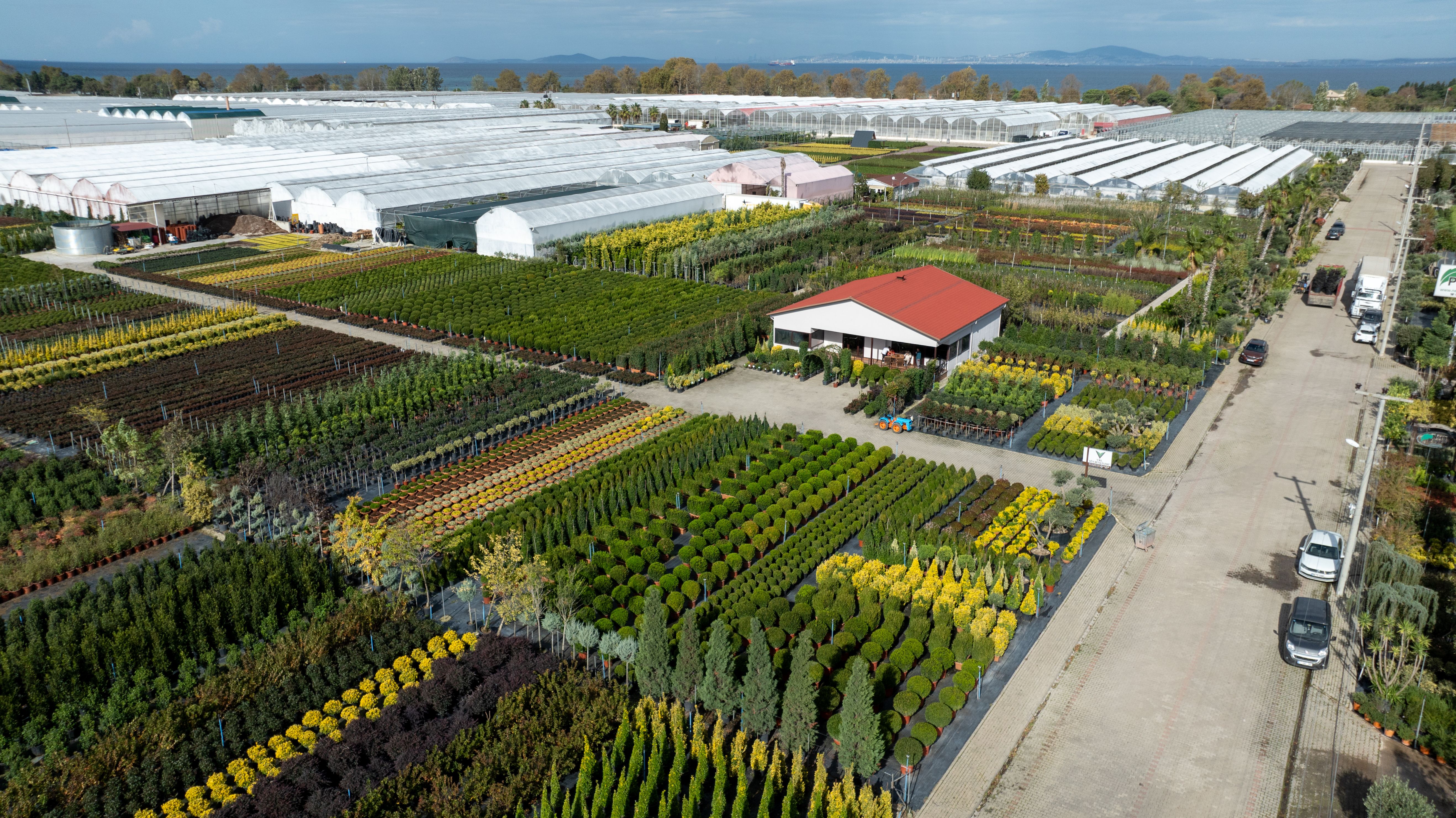 Sprawling greenhouses and fields in Yalova, Türkiye, captured from above on a clear day.