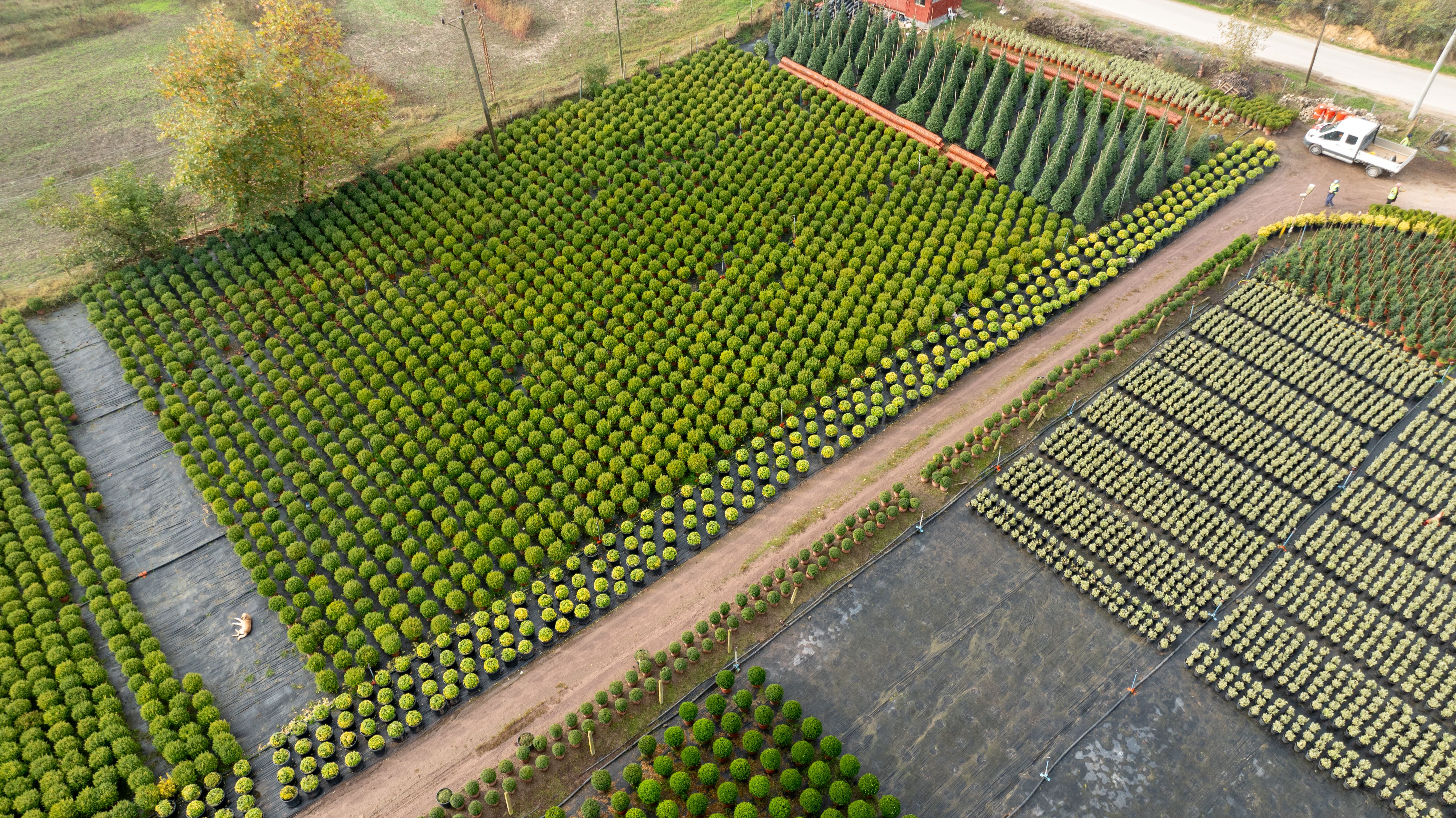 Aerial photograph of a well-organized plant nursery showcasing green fields and trees in Yalova, Türkiye.